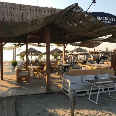 Summer House Mamaia